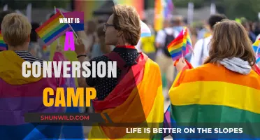 Understanding Conversion Camps: Origins, Practices, and Societal Impact Explained