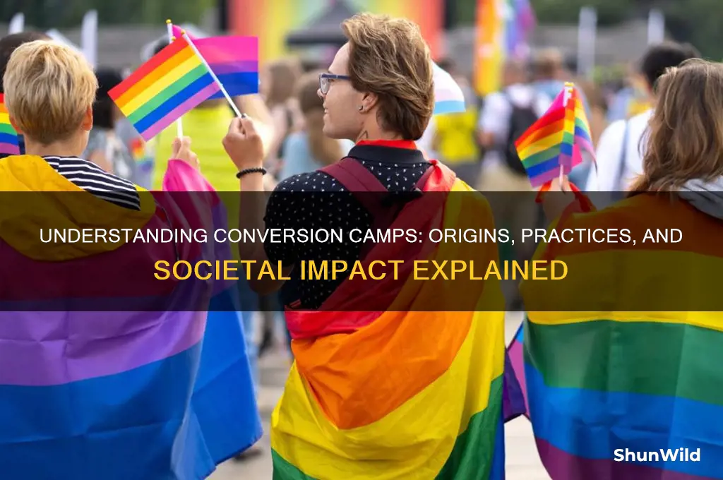 what is a conversion camp