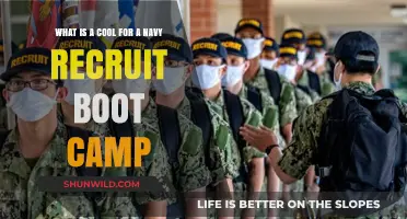 Navy Recruit Boot Camp: Unveiling the Ultimate Cool Experience