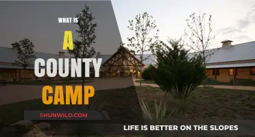Exploring County Camps: A Beginner's Guide to Outdoor Adventures