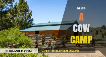Exploring the Rustic Charm of Traditional Cow Camps