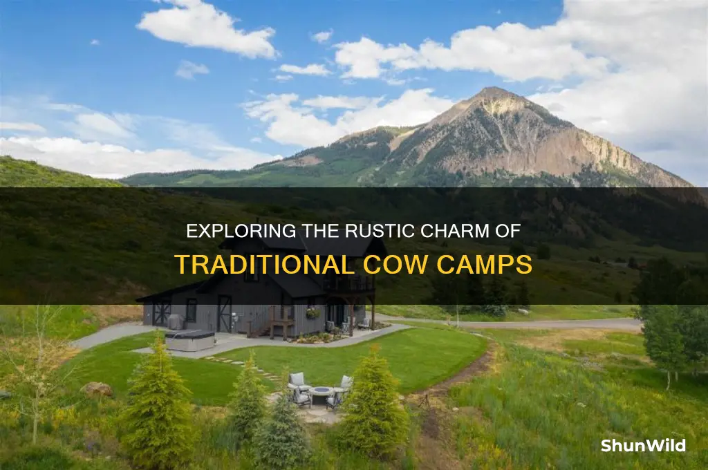what is a cow camp