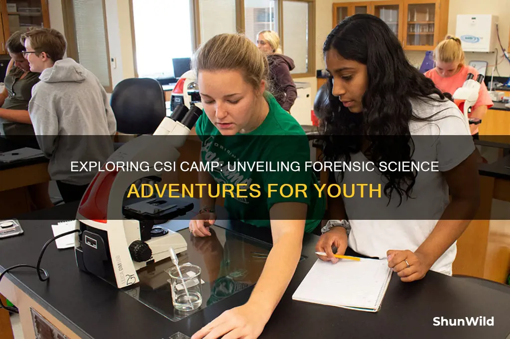what is a csi camp