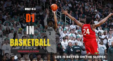 Understanding D1 Basketball: Division 1 Explained for Fans and Players