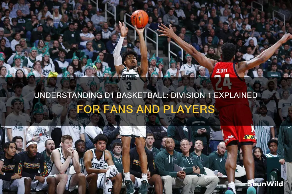 what is a d1 in basketball