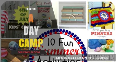 Exploring Day Camps: Fun, Learning, and Adventure for Kids