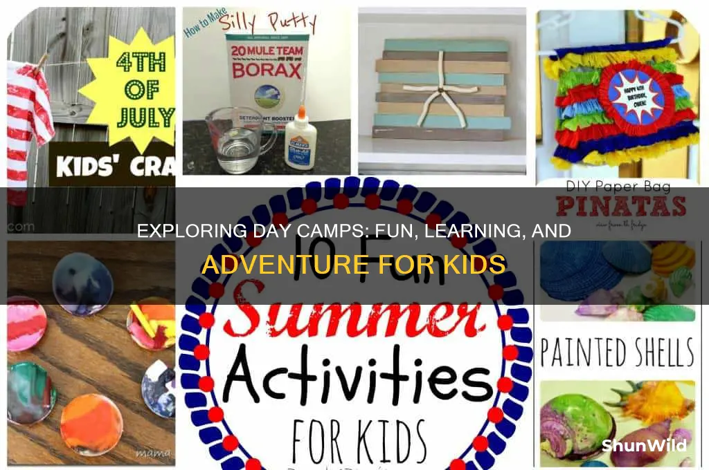 what is a day camp