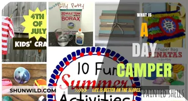 Exploring Day Camps: Fun, Learning, and Adventure for Kids Daily