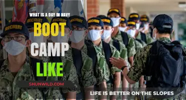 A Day in Navy Boot Camp: Rigor, Discipline, and Transformation