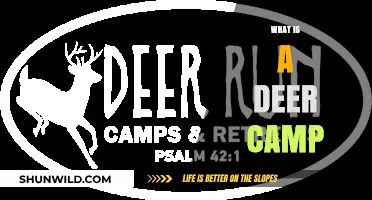 Exploring the Tradition and Charm of a Deer Camp Retreat