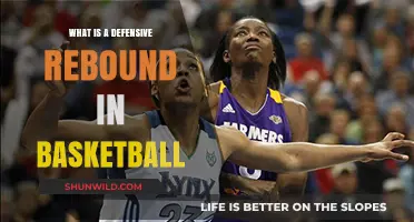 Understanding Defensive Rebounds: Key to Basketball's Defensive Strategy