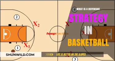 Mastering Defensive Strategy in Basketball: Techniques to Dominate the Court