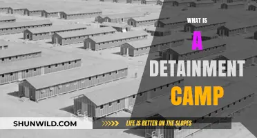 Understanding Detainment Camps: Purpose, Conditions, and Human Rights Concerns