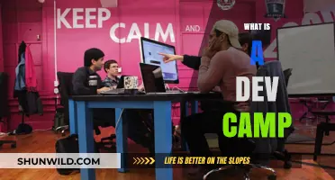 Understanding Dev Camps: A Beginner's Guide to Coding Bootcamps