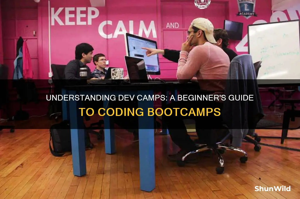 what is a dev camp