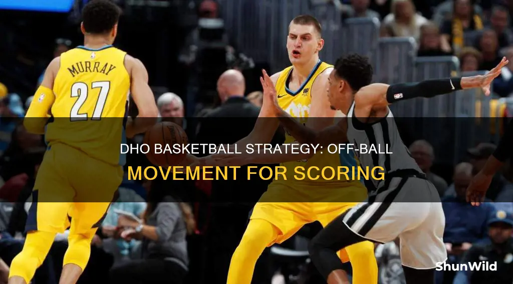 what is a dho in basketball