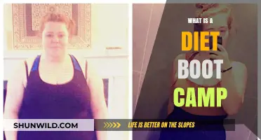 Understanding Diet Boot Camps: Intensive Weight Loss Programs Explained