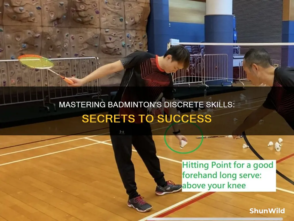 what is a discrete skill in badminton