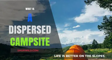 Exploring Dispersed Camping: A Beginner's Guide to Off-Grid Adventures
