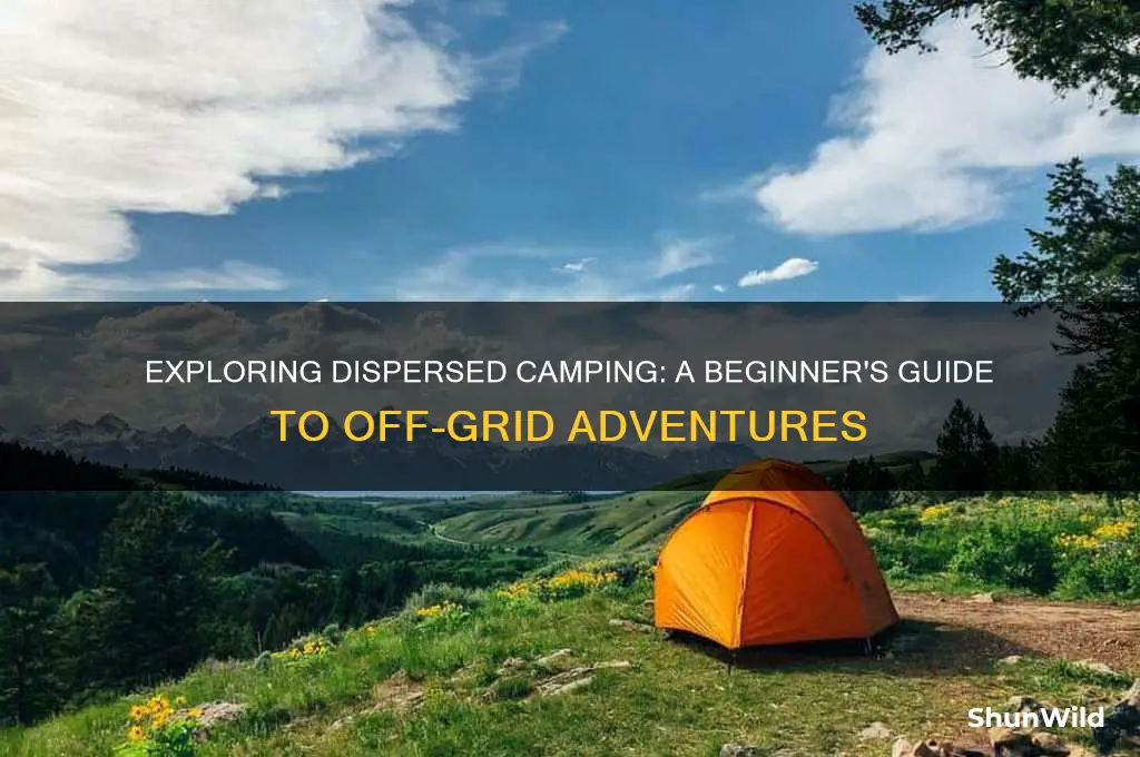 what is a dispersed campsite