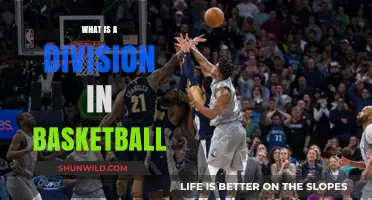 Understanding Basketball Divisions: Structure, Levels, and Competitive Play Explained