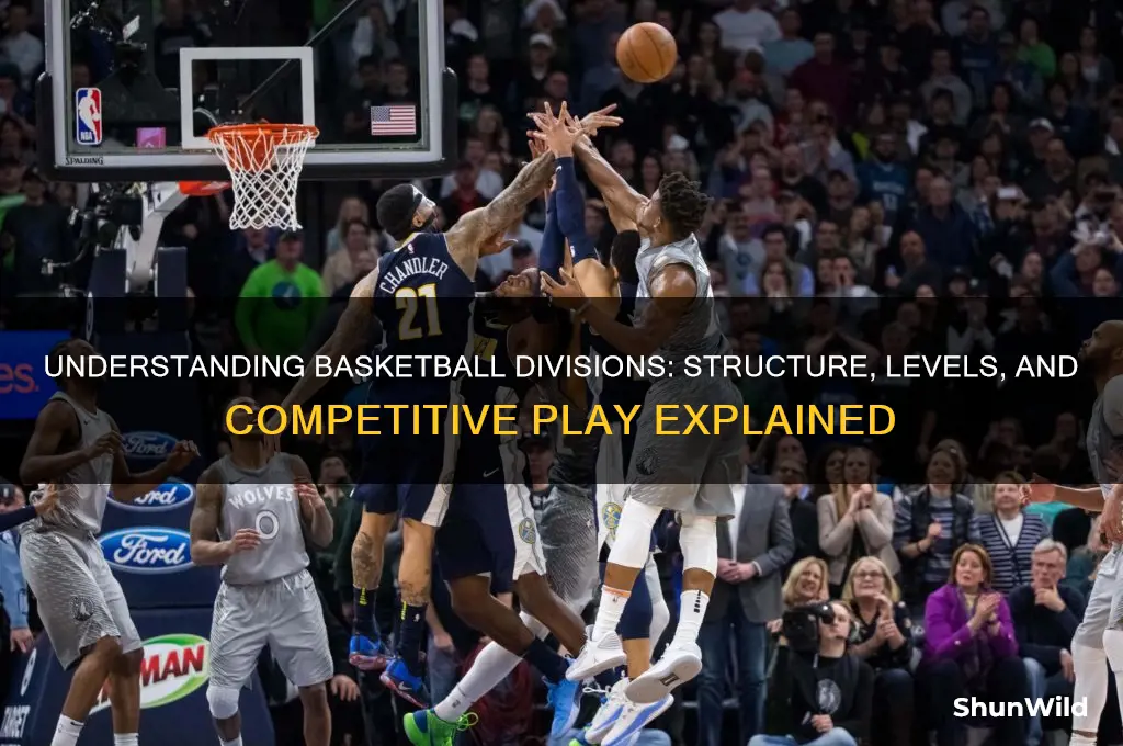 what is a division in basketball