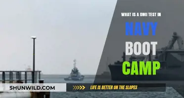 Understanding the DMI Test: Navy Boot Camp's Physical Fitness Challenge