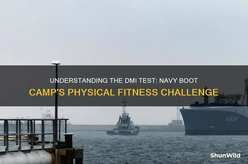 what is a dmi test in navy boot camp