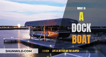 Exploring the Intricacies of Dock Boats