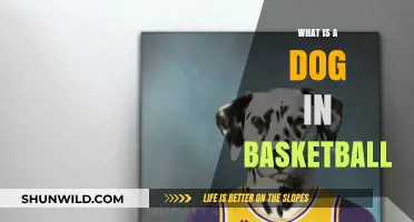 Understanding the Term 'Dog' in Basketball: A Player's Role Explained