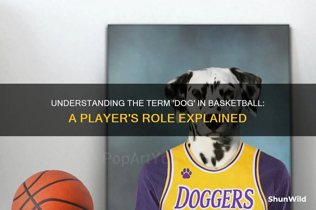 what is a dog in basketball