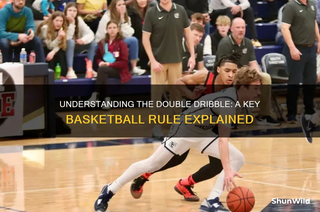 what is a double dribble basketball