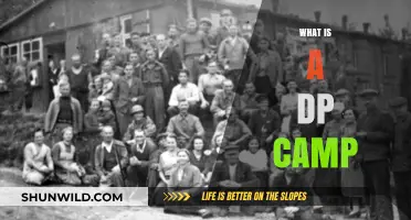 Understanding DP Camps: History, Purpose, and Impact Explained