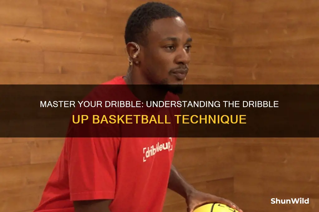 what is a dribble up basketball