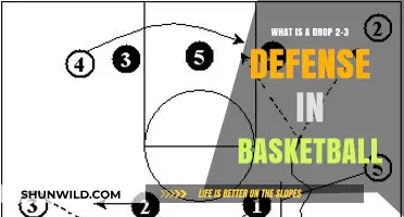 Understanding the Drop 2-3 Defense Strategy in Basketball Games