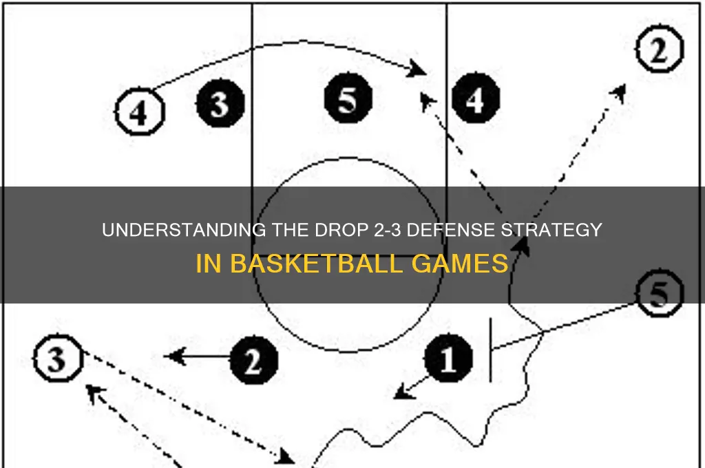 what is a drop 2-3 defense in basketball