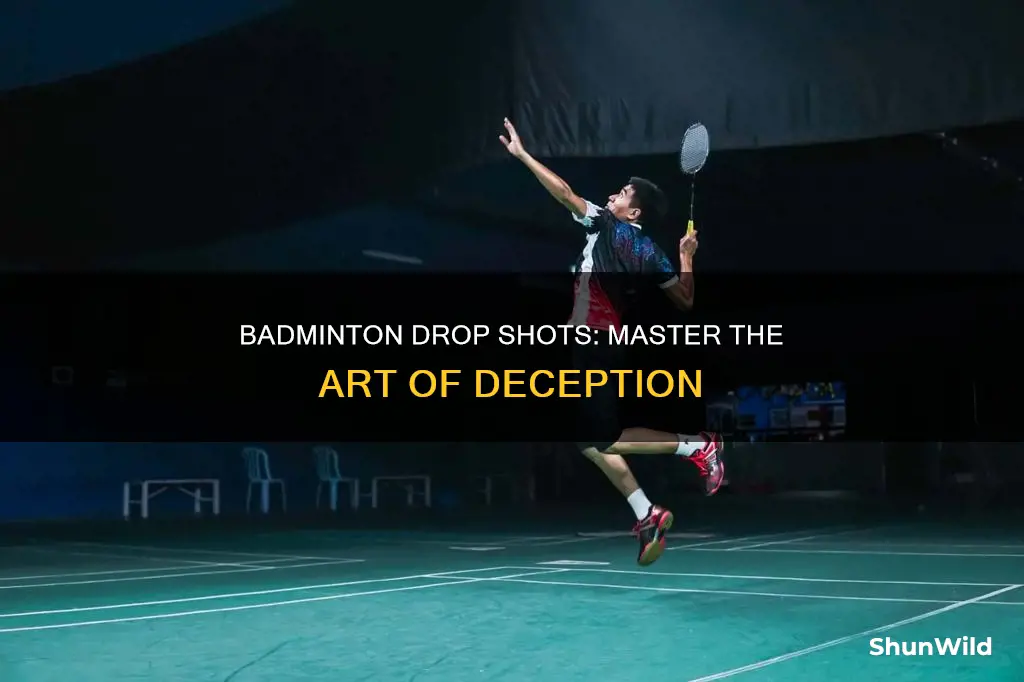 what is a drop badminton