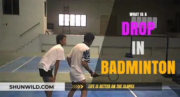 Understanding Drop Shots in Badminton