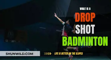Drop Shots: Tricky Badminton Tactics
