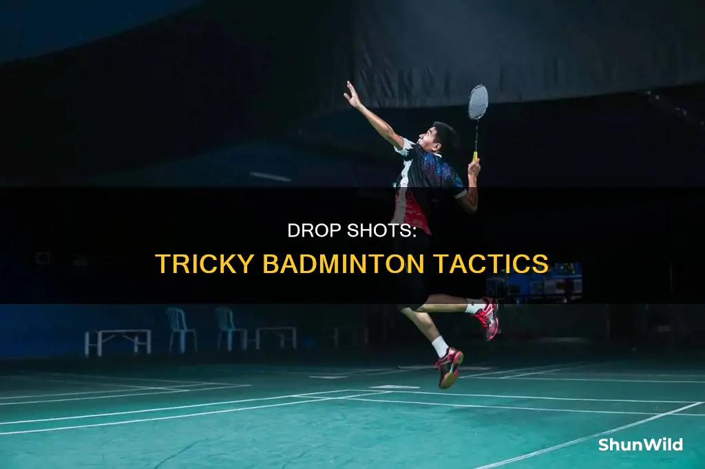 what is a drop shot badminton