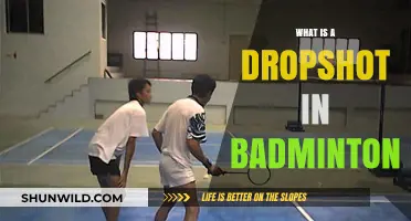 Dropshot in Badminton: A Deceptive Stroke
