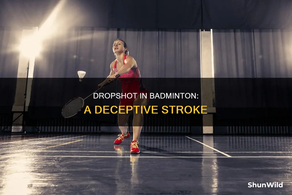 what is a dropshot in badminton