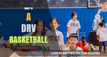 DRV Basketball Explained: Understanding the Unique Training Tool and Its Benefits