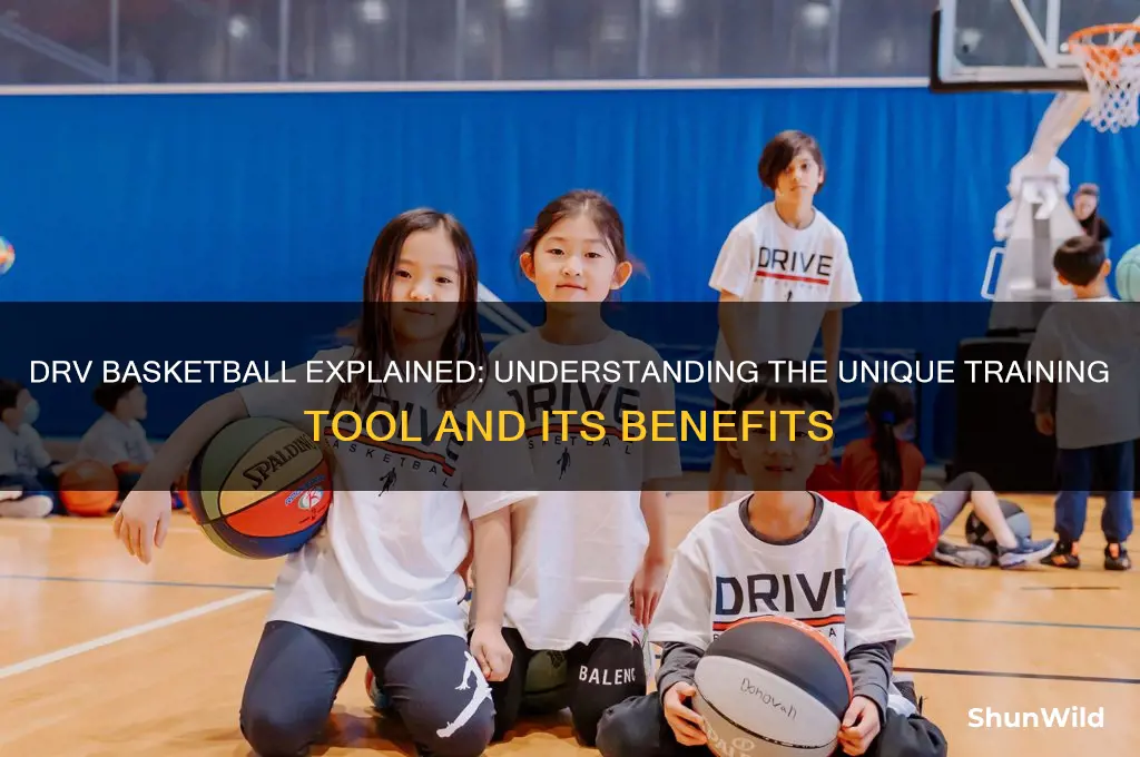 what is a drv basketball