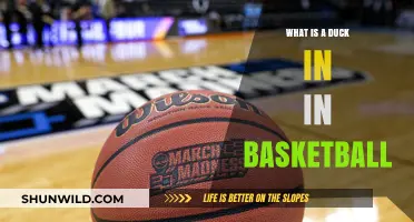 Understanding the Duck in Basketball: Rules, Strategies, and Impact