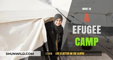Understanding Refugee Camps: Purpose, Life, and Global Impact Explained