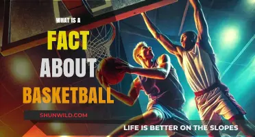 Unbelievable Basketball Facts: Discover the Game's Hidden Truths