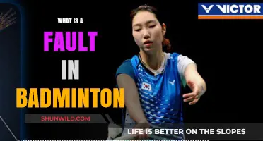 Understanding Faults: The Basics of Badminton