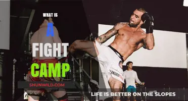 Understanding Fight Camps: Training, Strategy, and Preparation for Combat Sports