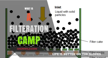 Understanding Filtration Camps: Purpose, Process, and Impact Explained